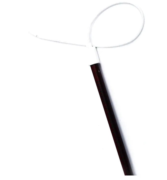 Elemen Pemanasan Oven: Teknologi Teras Di Sebalik Penaik Dapur